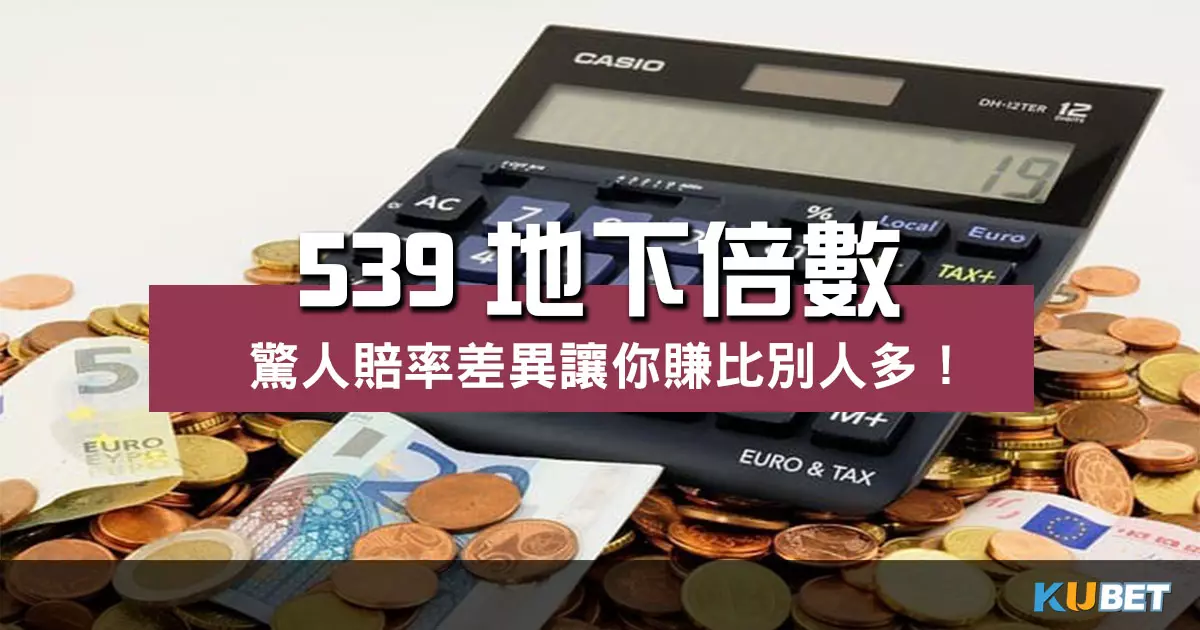 539地下倍數 大揭密!驚人差異原來你可以賺更多!