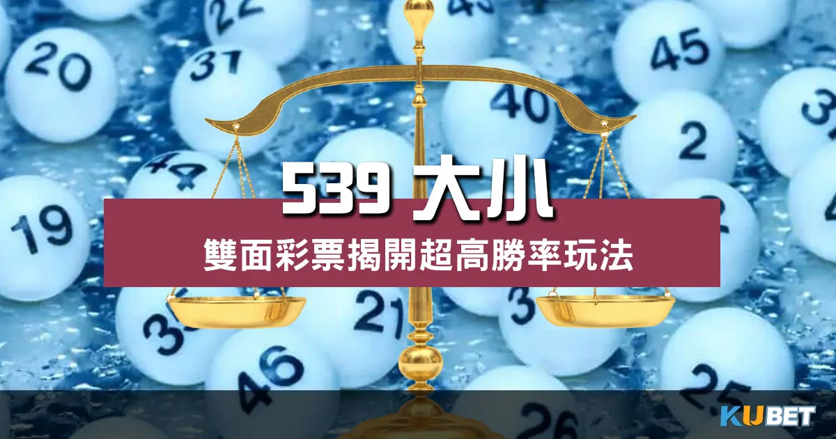 539大小